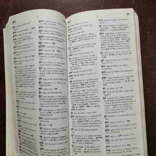 Document 6_30 The Oxford Hindi - English Dictionary ( R.S. McGregor )