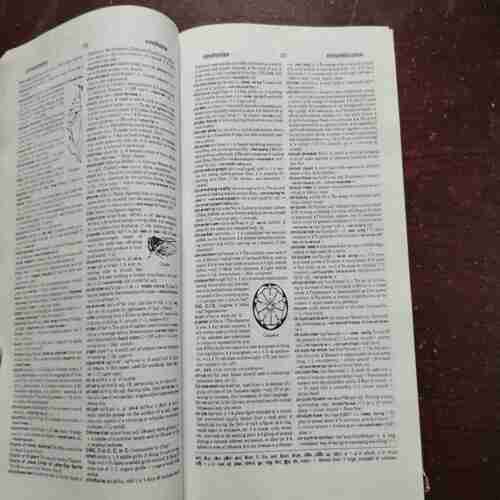 The New International Webster's Student Dictionary Of The English Language