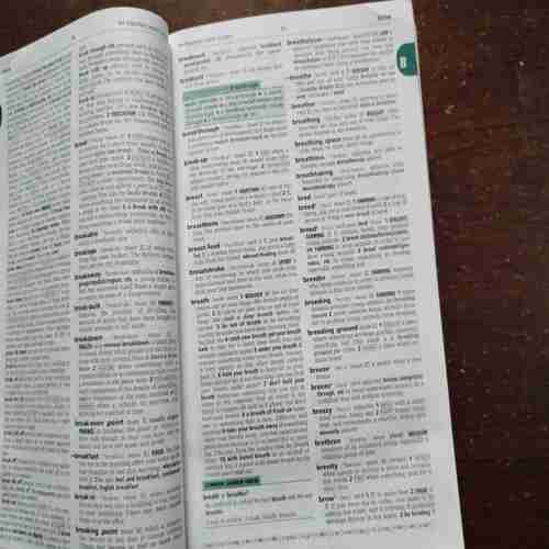 Document 6_36 Cambridge School Dictionary