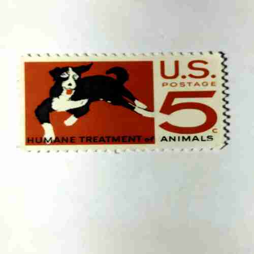 U.S.POSTAGE 5C , HUMANE TREATMENT OF ANIMALS