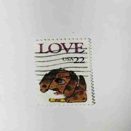 USA LOVE POSTAGE STAMP