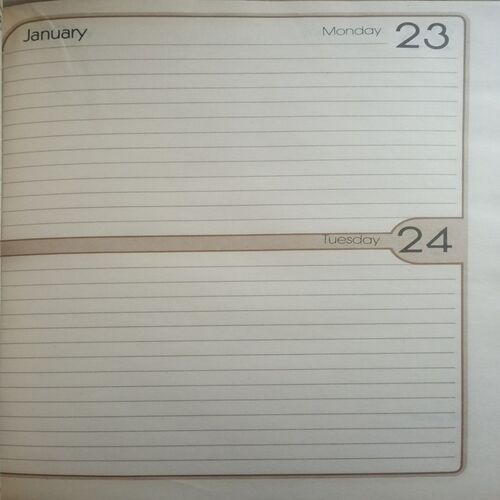Business Diary ( 1989)