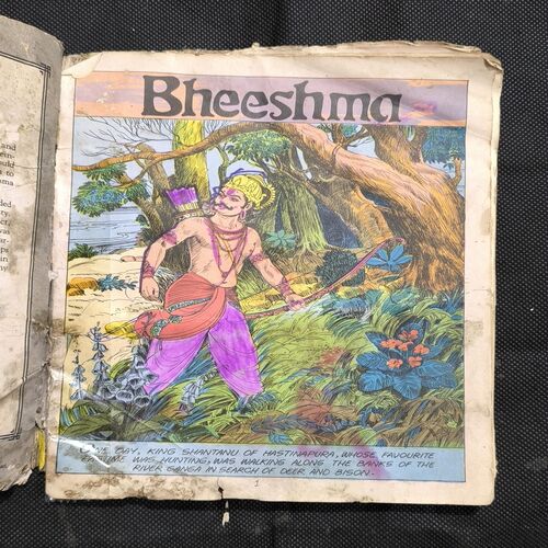 Bheeshma ( Damage Item )