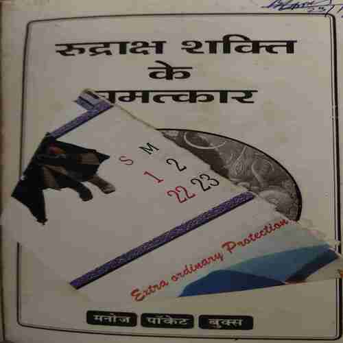 Rudraksh Sakti Ka Chamatkar ( No. 0f Pages =141 )