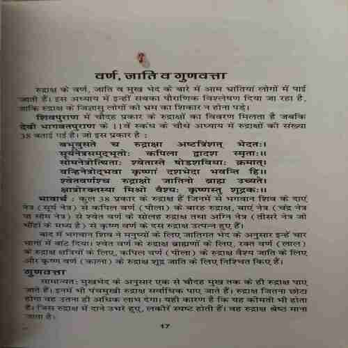 Rudraksh Sakti Ka Chamatkar ( No. 0f Pages =141 )