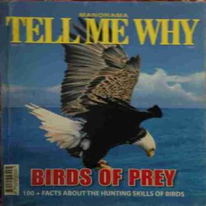 Tell me why ( October 2012 )