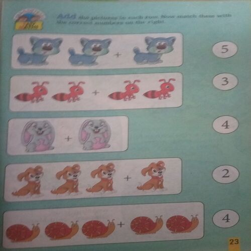 Magic Pot ( November 08, 2023 )