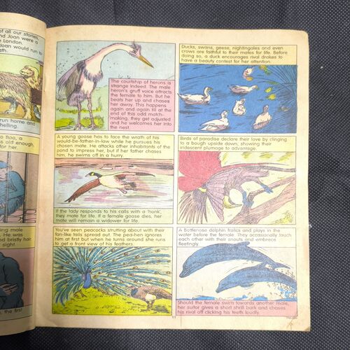 Document_2 Tinkle no-290