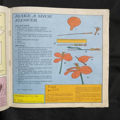Document_22 Tinkle no-324
