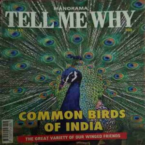 Tell me why ( September 2017 )