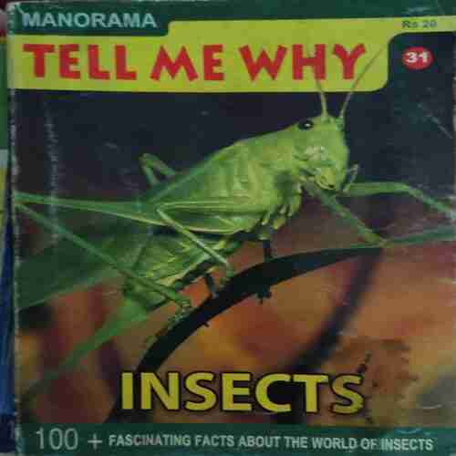 Tell me why ( April 2009 )