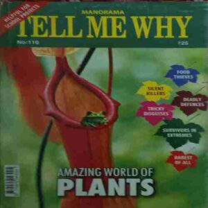 Tell me why ( November 2015 )