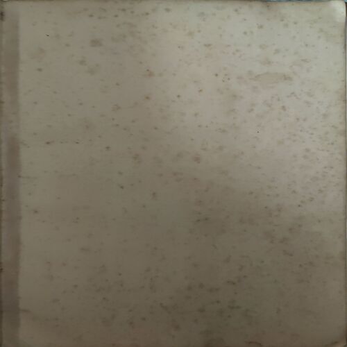 Document_45 Ruhani Dairy ( By = Radhaswami ) ( No of pages = 354 )