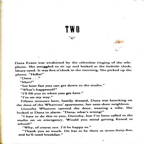 The sky is Falling (By = Sidney Sheldon ) ,(Total pages=317 )