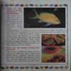 Children 's Encyclopedia