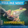 Tell Me Why ( October 2011 )