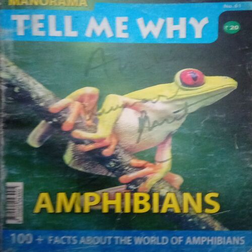 Tell Me Why ( October 2011 )