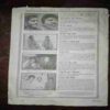 Document 10_45 Mayapuri ( August 1991 ) ( Coverless )