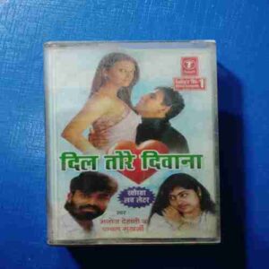 Document 11_47 AUDIO CASSETTES ; DIL TERA DIWANA