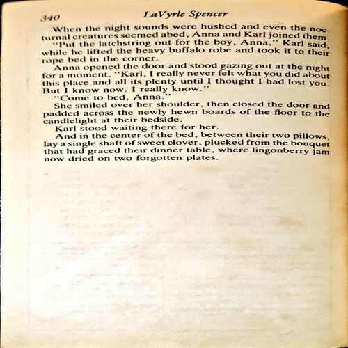 Document 13_47 The Endearment (pages 340) (Lavyrl Spencer)