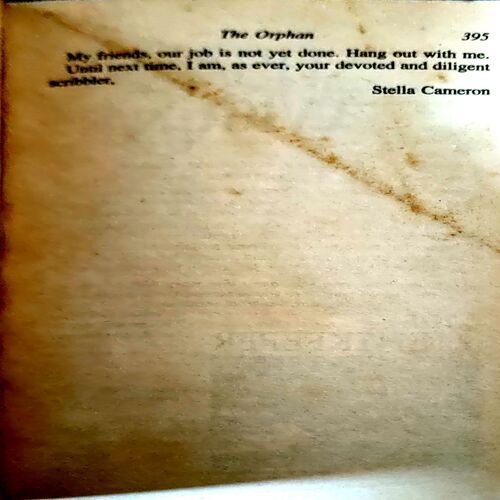 Document 13_7 The Orphan (pages 396) (Stella Cameron)