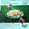Document 19_69 Grihlaxmi (Nov 2018)