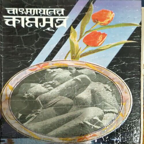 Kaamsutra (pages 160)