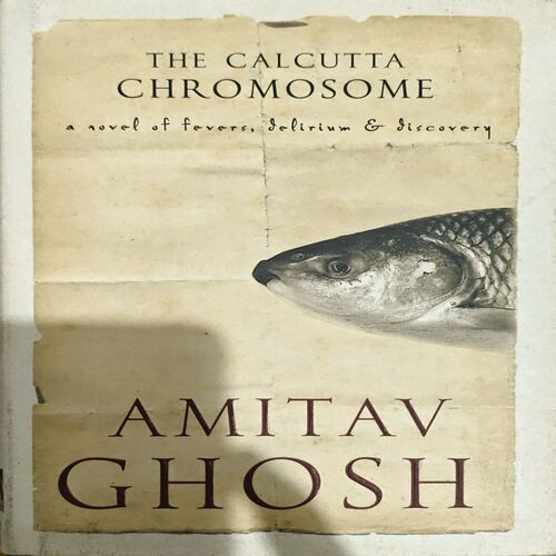 Document 23_21 The Calcutta Chromosome (pages 262) (By Amitav Ghosh)