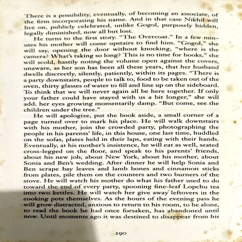 The Namesake (pages 290) (Jhumpa Lahiri)