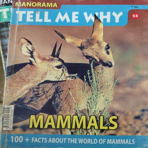 Tell me why ( April 2011 )
