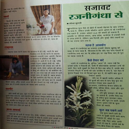 Document 2_67 Meri Sangini ( May 2008 )