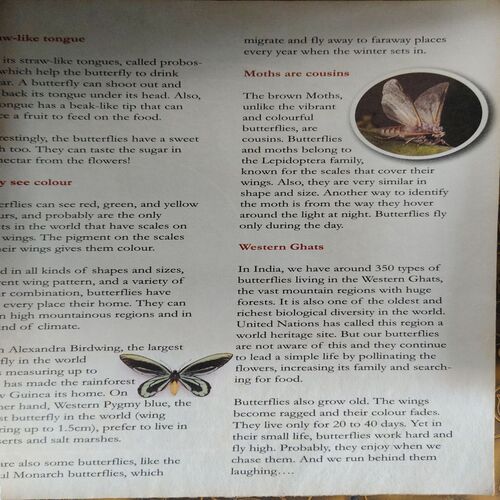 Document 2_68 Champak ( 1st August 2012)
