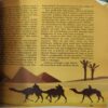 Document 2_80 Reader 's Digest ( August 2009 )
