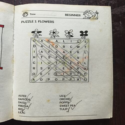 Word Searches For Cliver Kids ( Some Pages Are Used )