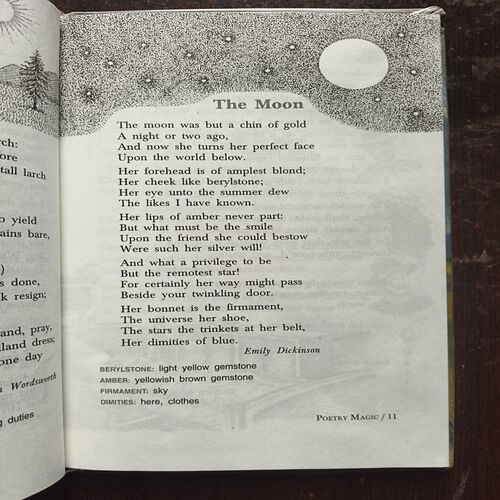 Poetry Magic Book 8