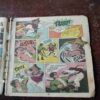 Nagraj Aur Shango ( Rs. 5 , No. 33 )( Back cover is missing )