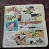 Nagraj Aur Shango ( Rs. 5 , No. 33 )( Back cover is missing )