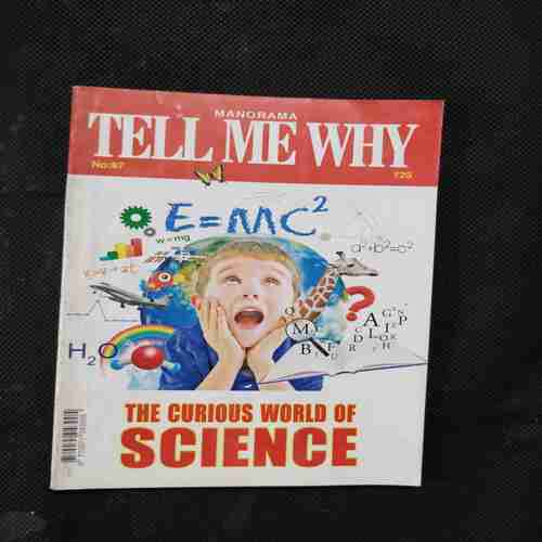 Tell Me Why ( December 2013 )