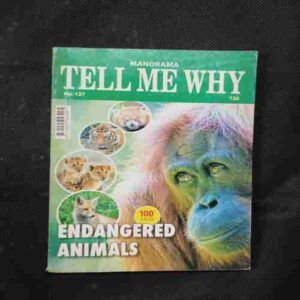Tell Me Why ( April 2017 )