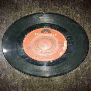 VINYL RECORDS (small) GURBANI SHABAD 45 RPM