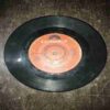 Document 6_36 VINYL RECORDS (small) GURBANI SHABAD 45 RPM