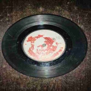 VINYL RECORDS (small) DISCO DISCO - RANI , 1981 , 45RPM