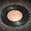 Document 6_95 VINYL RECORDS (small) RAJASTHANI FOLK SONG , 1980, 45RPM