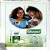 Good Homemaker (Aug 2008)