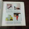 Document 9_2 Binding 2 in 1 Femina ( July 1, 2000 ) ( Woman Who Have Change The Way We Look ! )