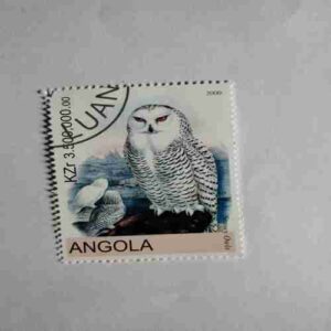 Document 9_49 ANGOLA 2000 , POSTAGE STAMP