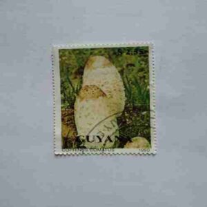 GUYANA 1990 POSTAGE STAMP