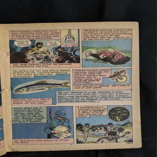 Tinkle no-212 ( Page no-31,32 Big Cut And Story Impact )