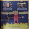 Champak ( 1st October 2023 ) ( cut on front cover )