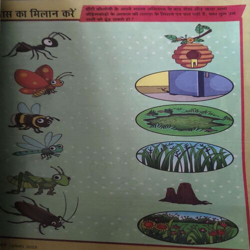 Champak ( 1st February 2023 )